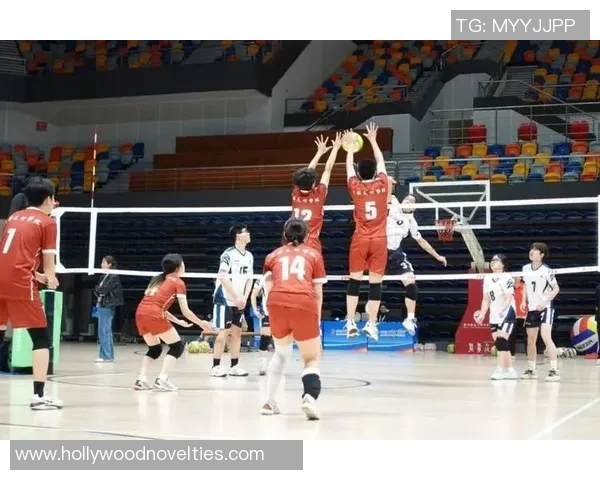 排球热议：杭州排球队的耐力争议